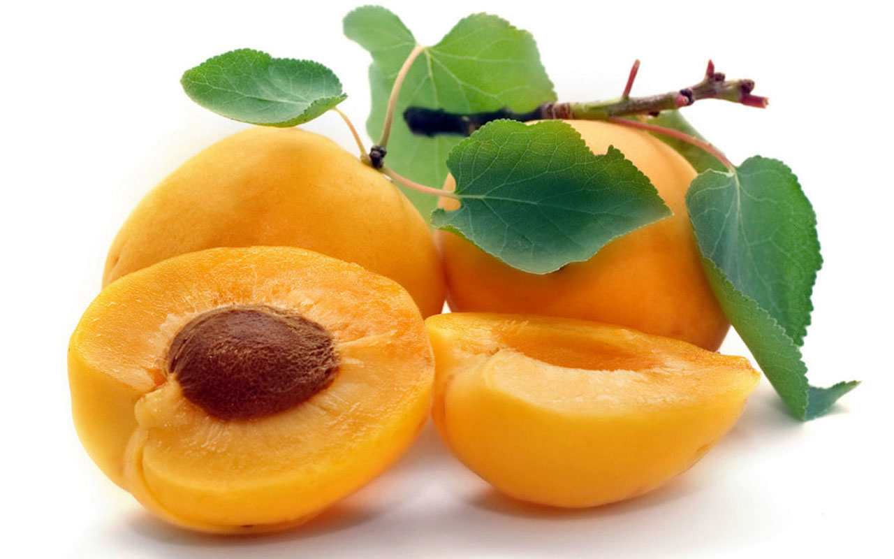 Damasco